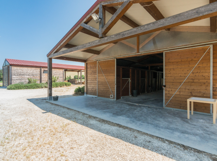 Country house with stables in Le Marche
