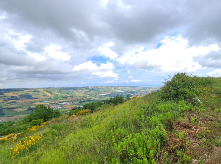 Villa with sea view in Le Marche