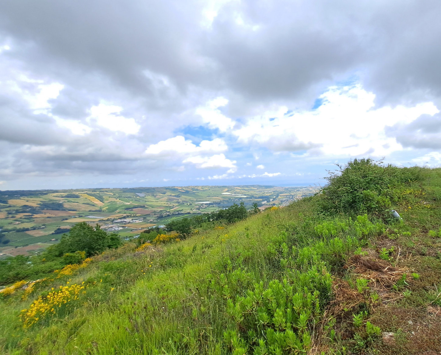 Villa with sea view in Le Marche