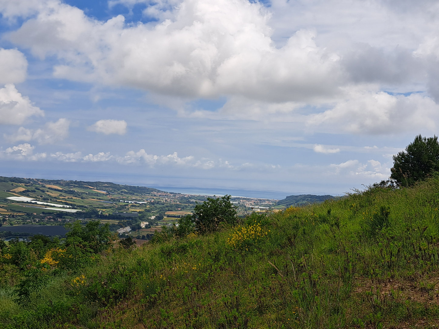 Villa with sea view in Le Marche