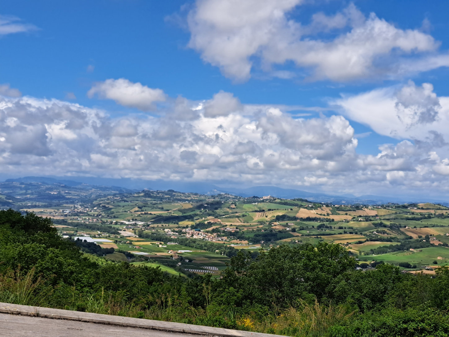 Villa with sea view in Le Marche