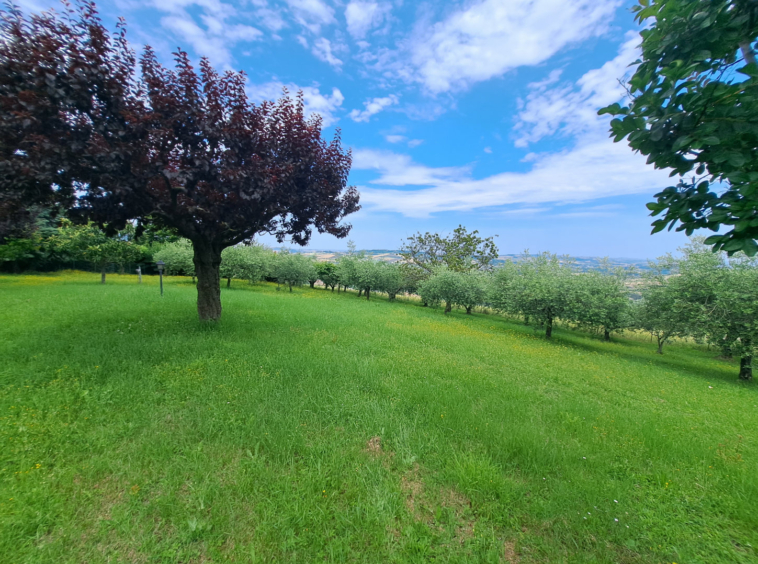 Stone Villa in Le Marche