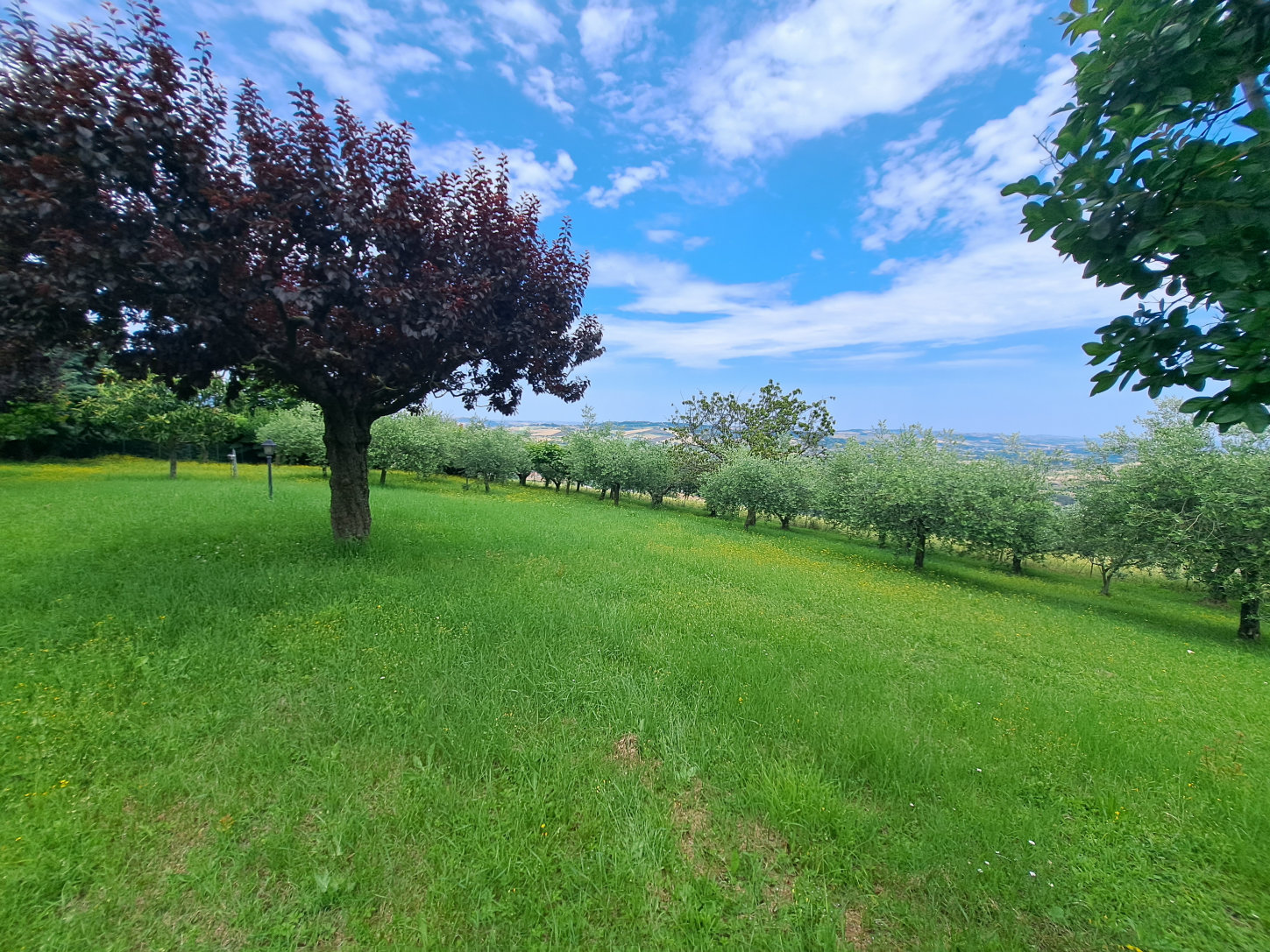 Stone Villa in Le Marche