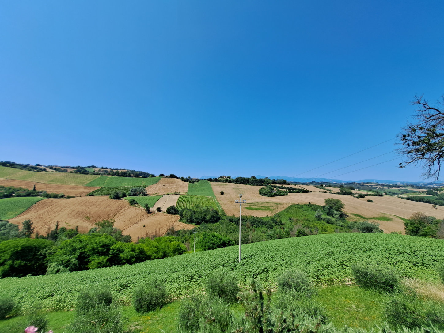 Villa in Le Marche