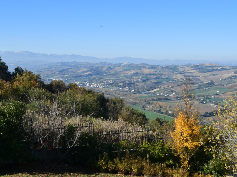 Villa with sea view in Le Marche