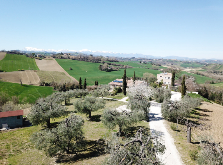 VIlla in Le Marche
