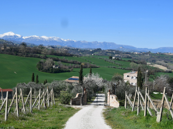 VIlla in Le Marche