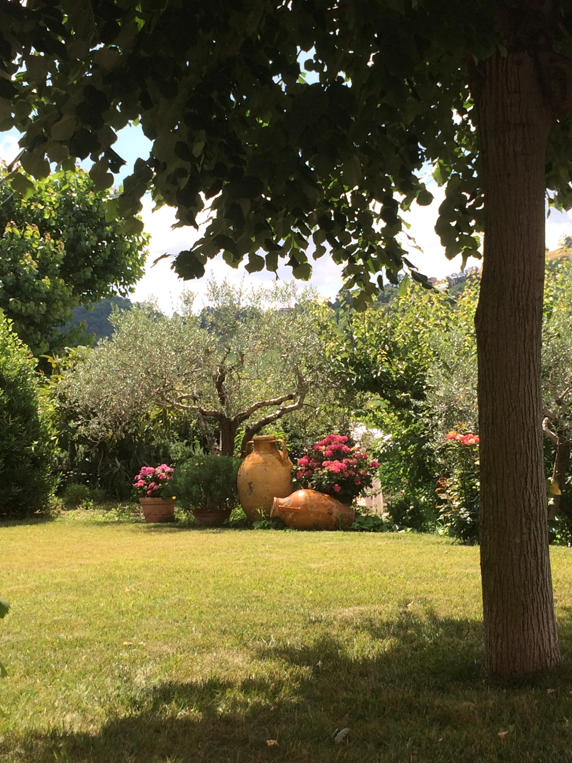 VIlla in Le Marche