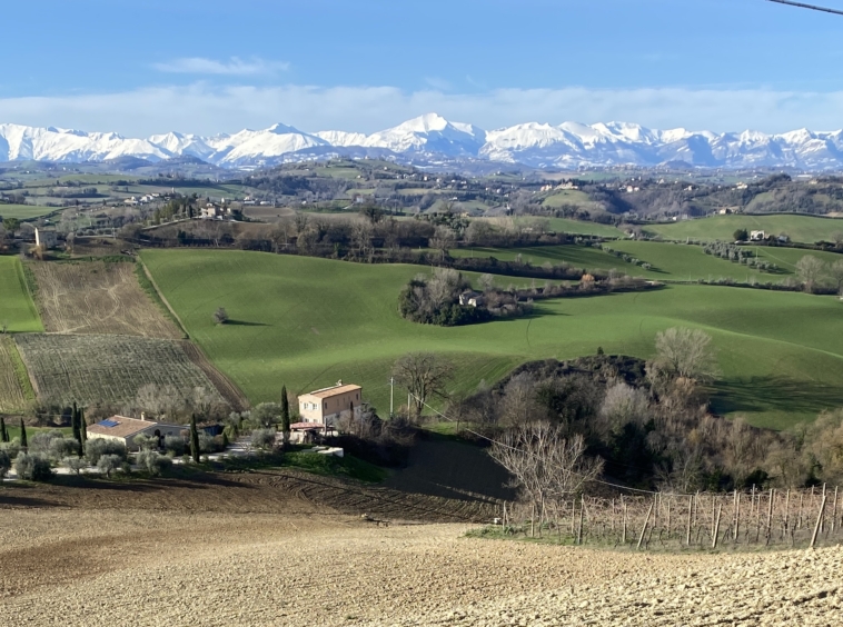 VIlla in Le Marche