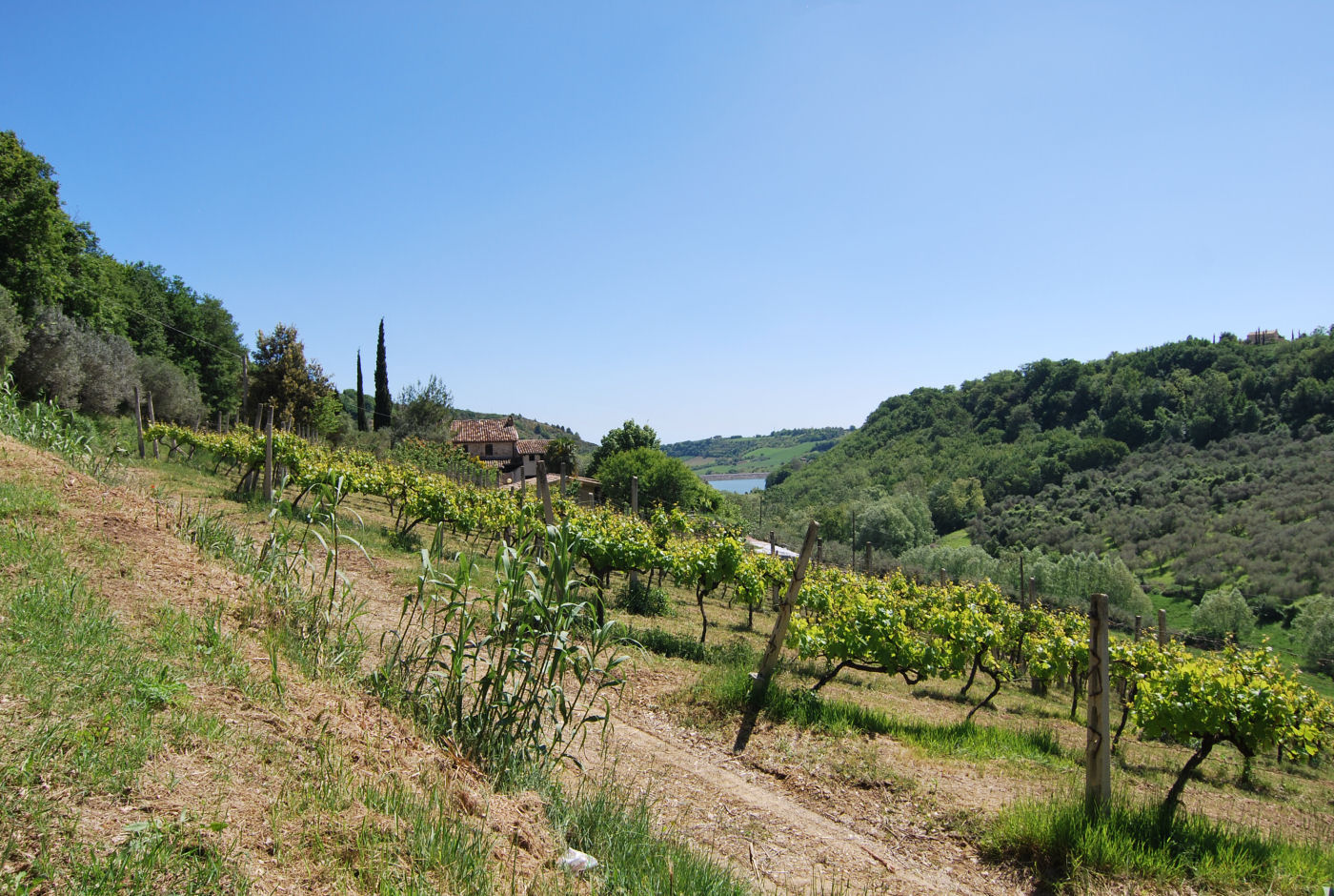 Agriturismo for sale in Le Marche