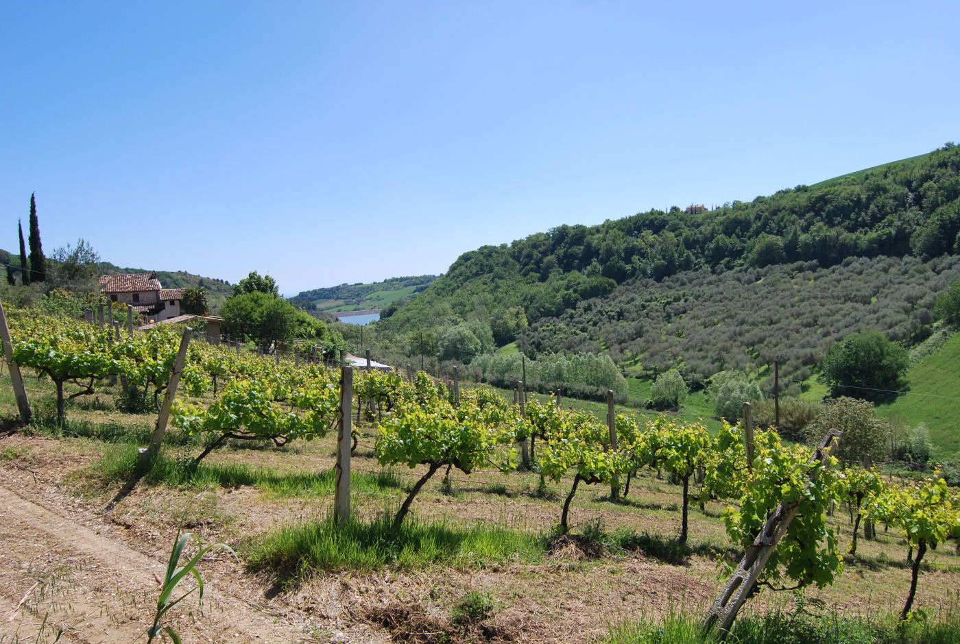 Agriturismo for sale in Le Marche