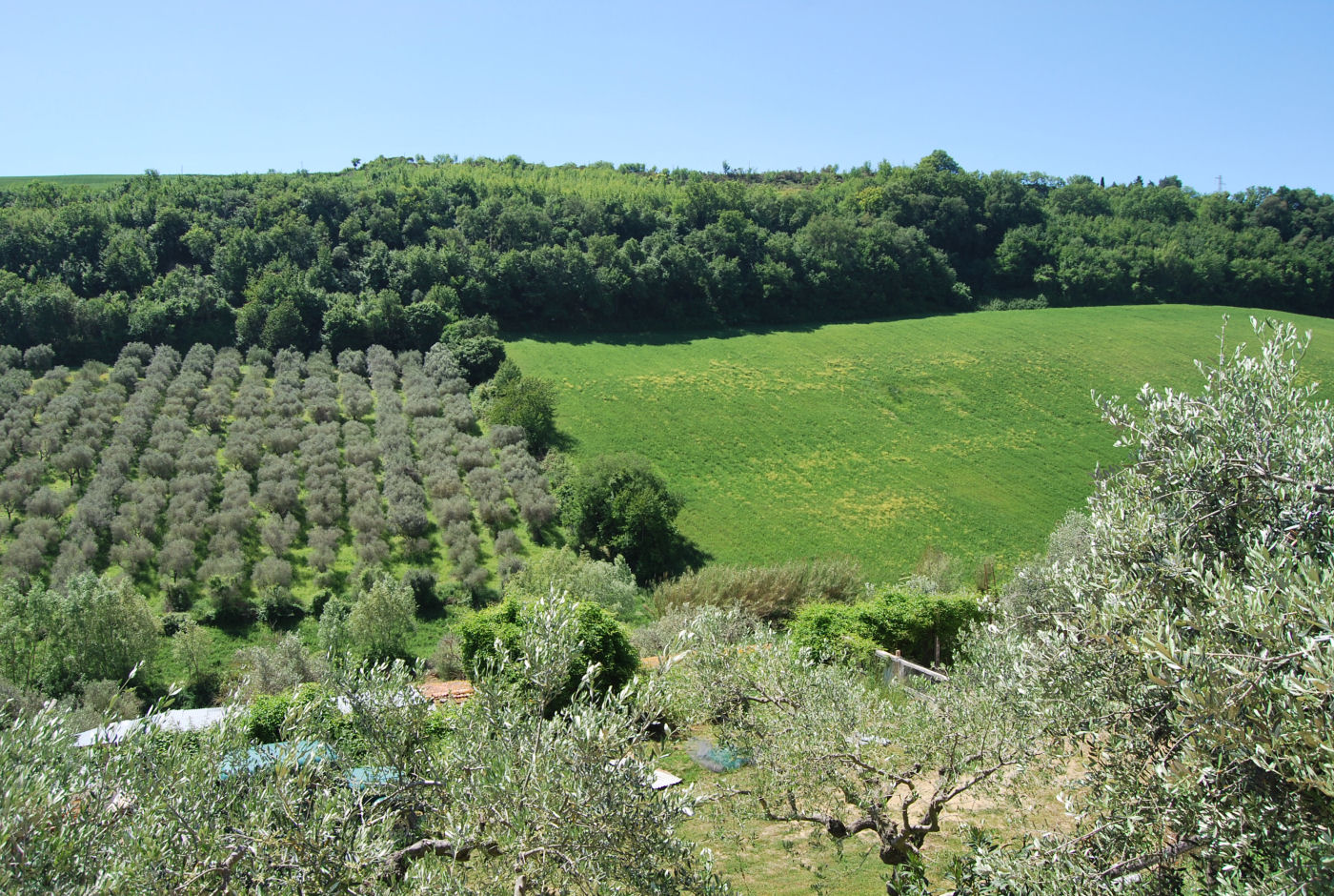 Agriturismo for sale in Le Marche