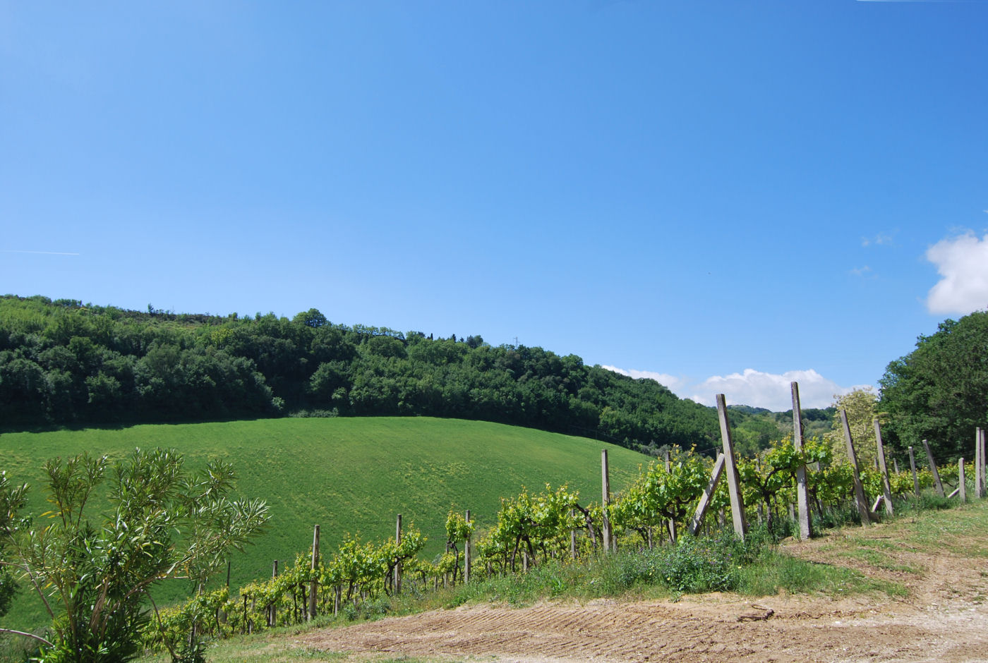 Agriturismo for sale in Le Marche