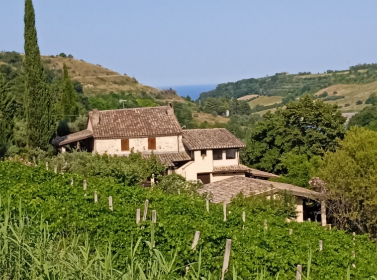 Agriturismo for sale in Le Marche