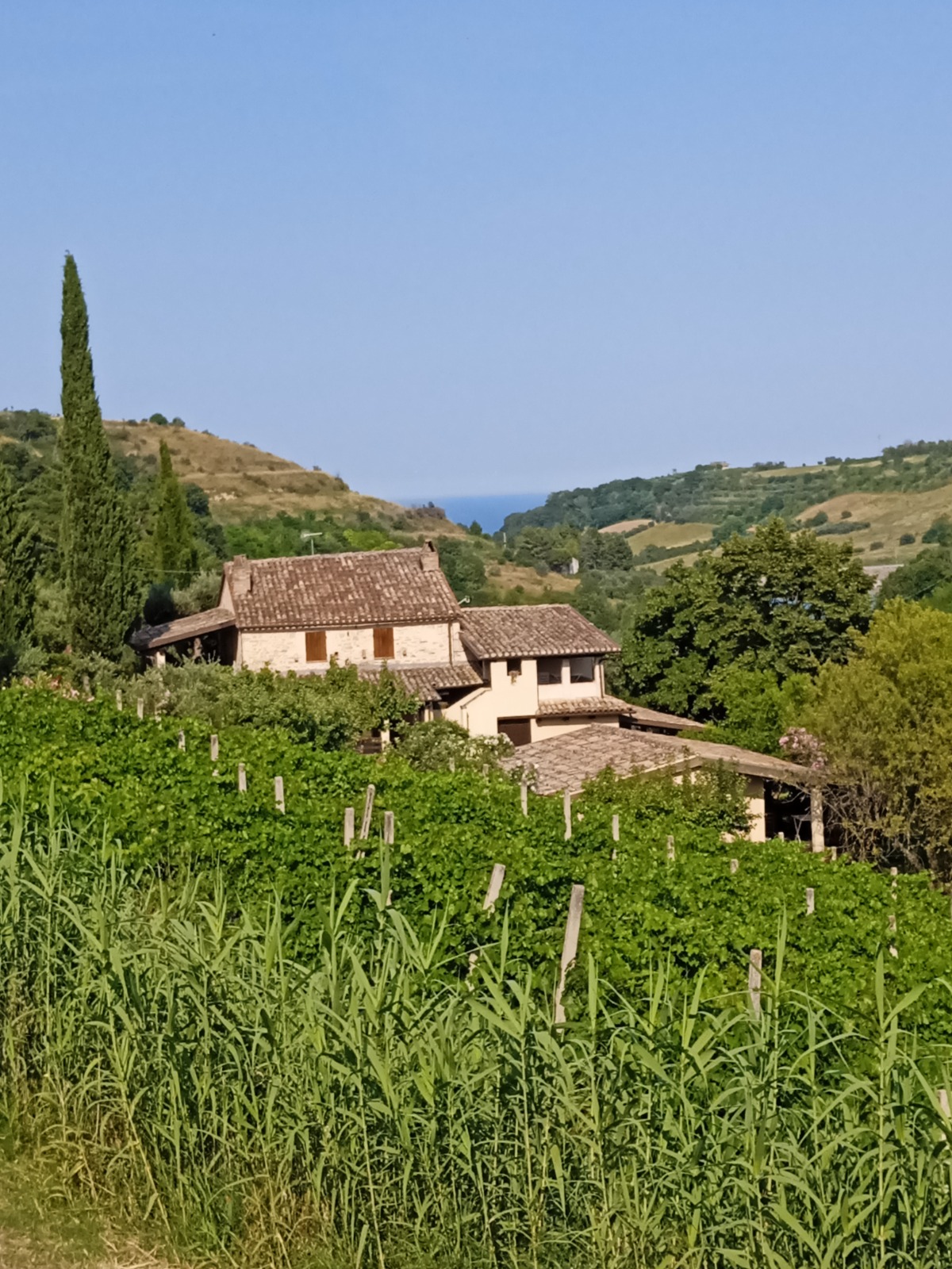 Agriturismo for sale in Le Marche