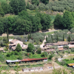 Agriturismo for sale in Le Marche