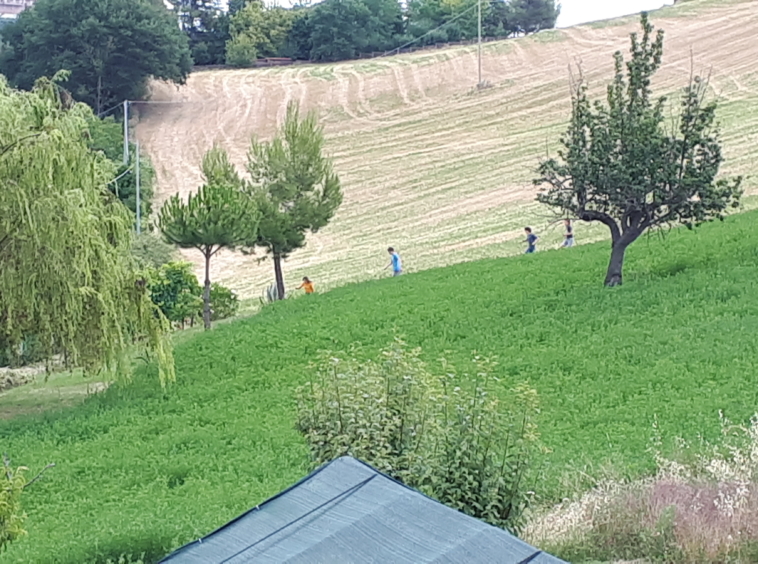 Agriturismo with sea view