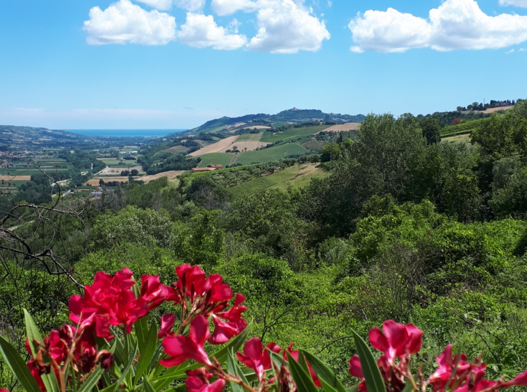 Agriturismo with sea view