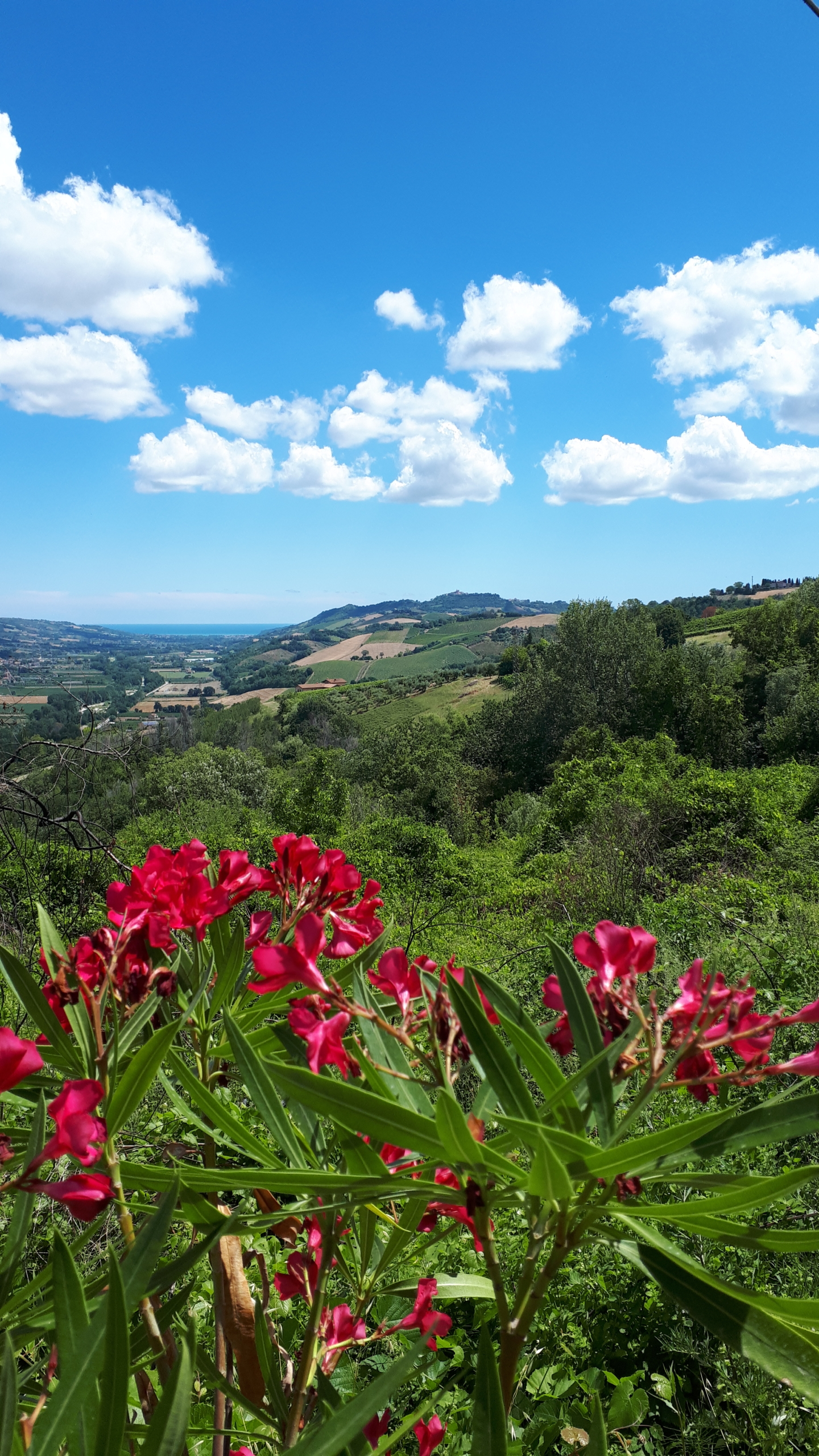 Agriturismo with sea view