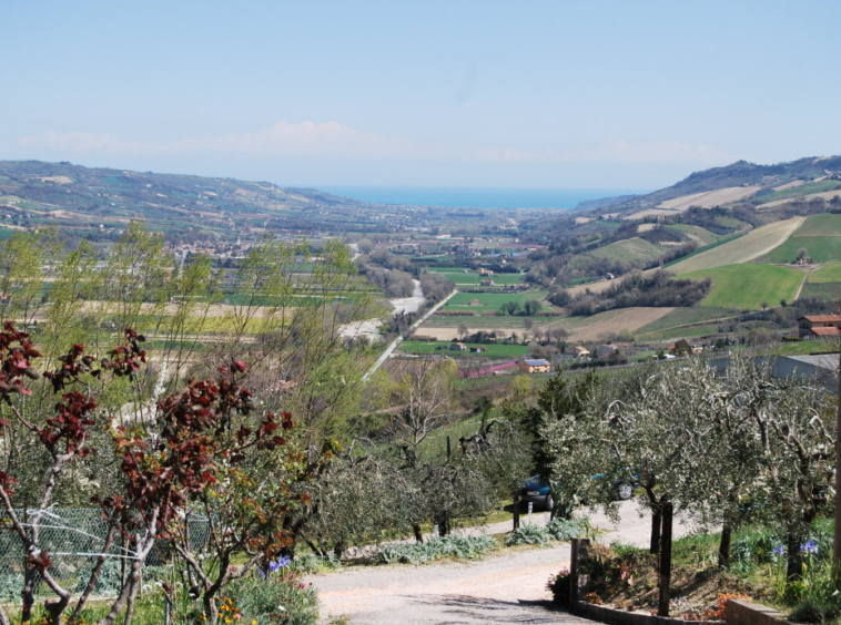 Agriturismo with sea view in Le Marche