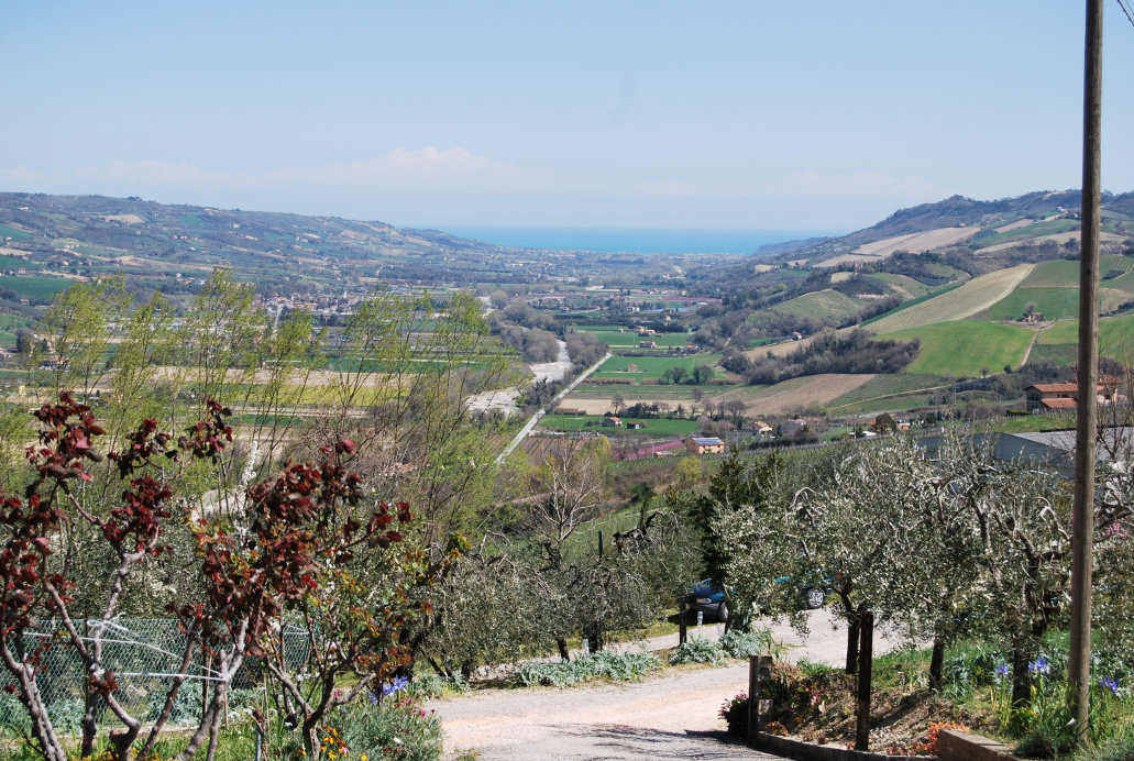 Agriturismo with sea view in Le Marche