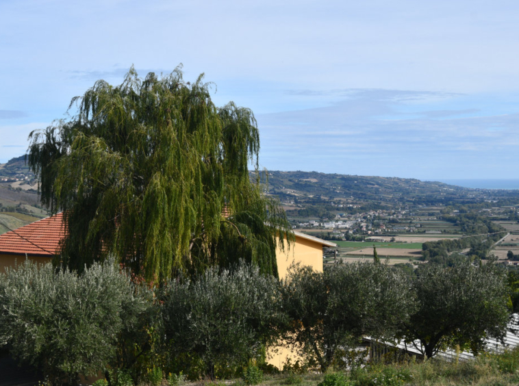 Agriturismo with sea view in Le Marche