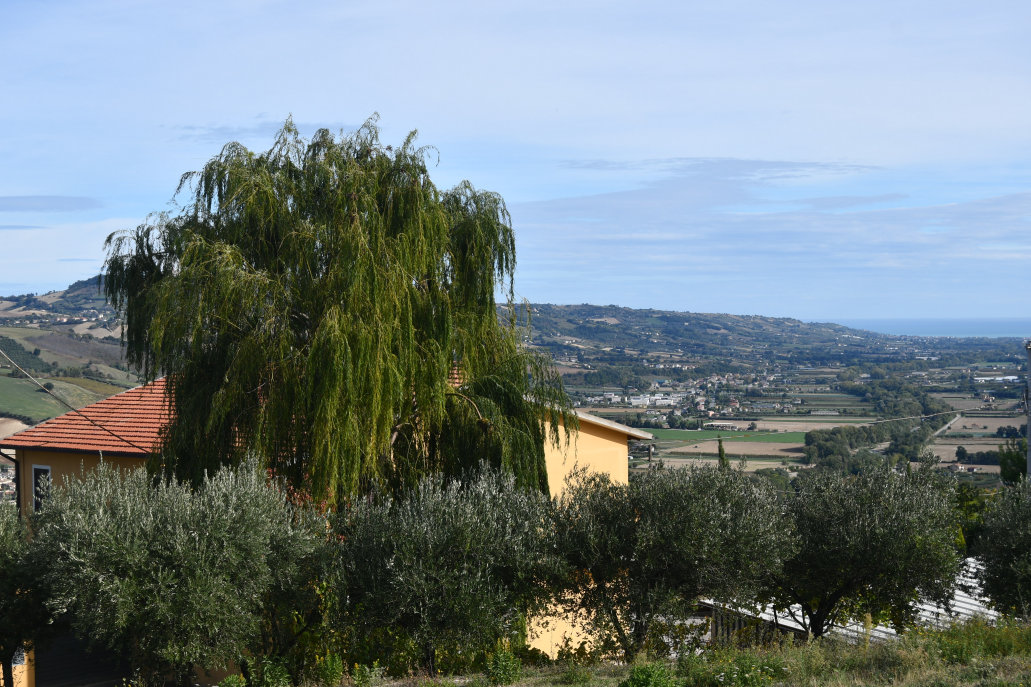 Agriturismo with sea view in Le Marche