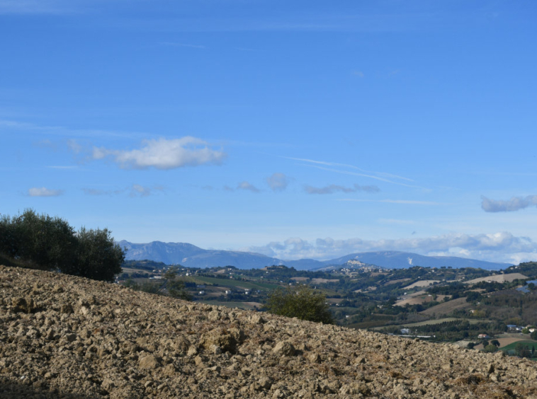 Agriturismo with sea view in Le Marche