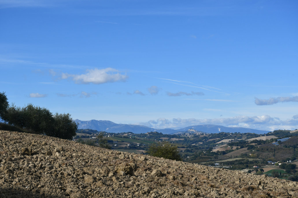 Agriturismo with sea view in Le Marche