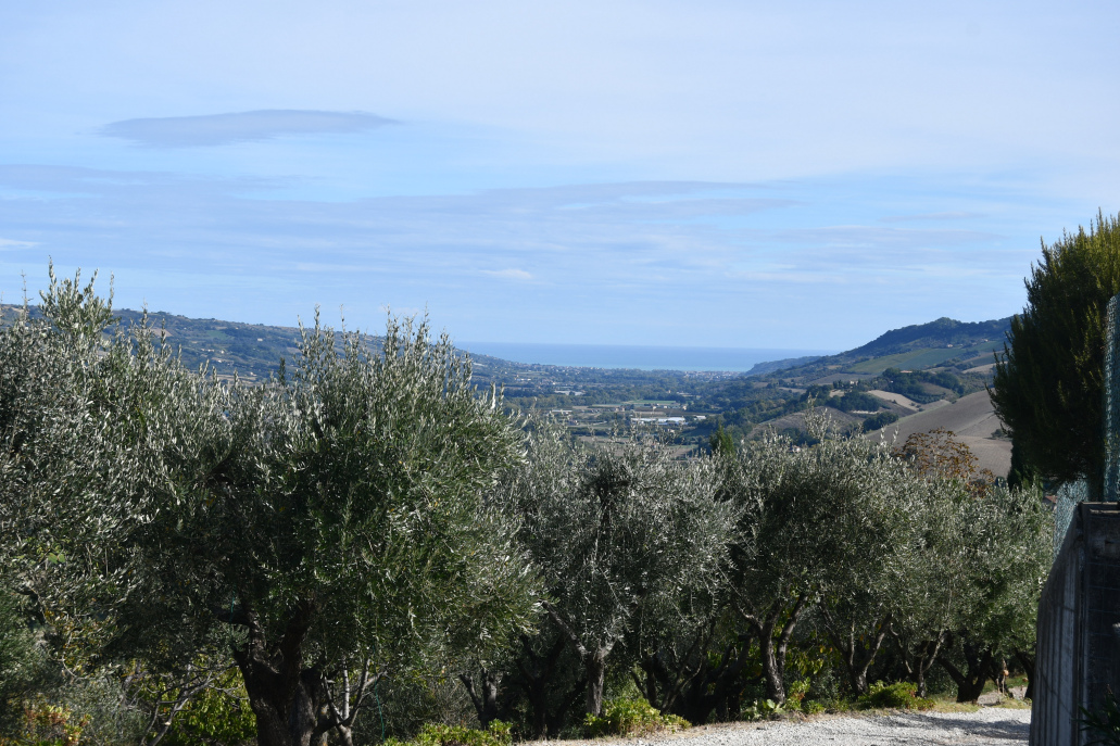 Agriturismo with sea view in Le Marche