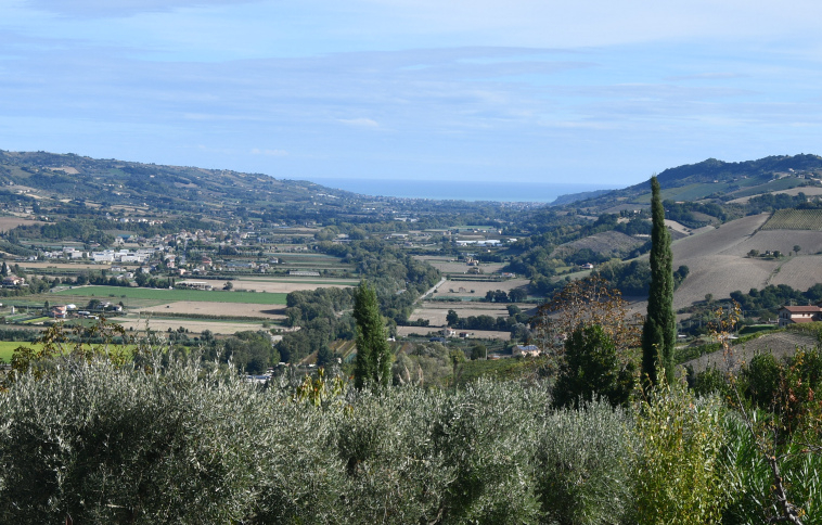 Agriturismo with sea view in Le Marche