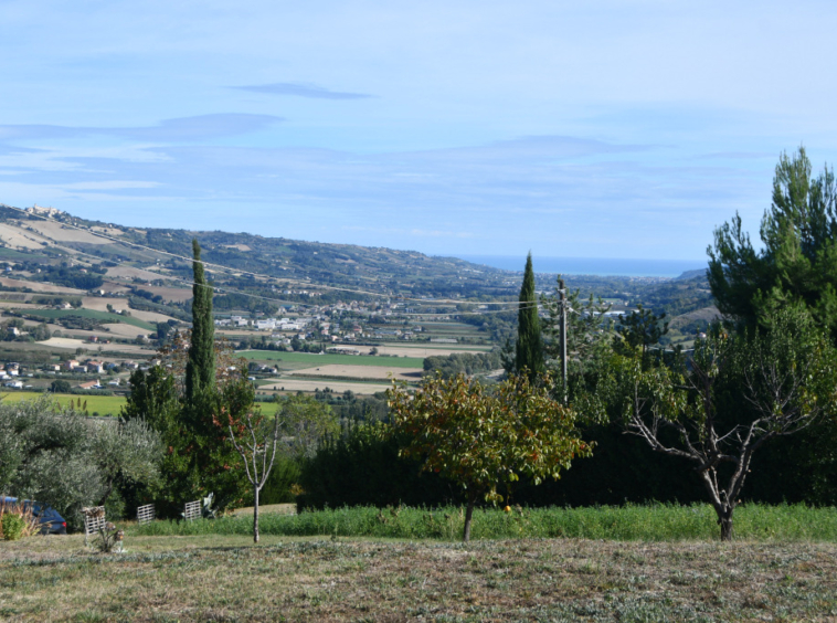 Agriturismo with sea view in Le Marche