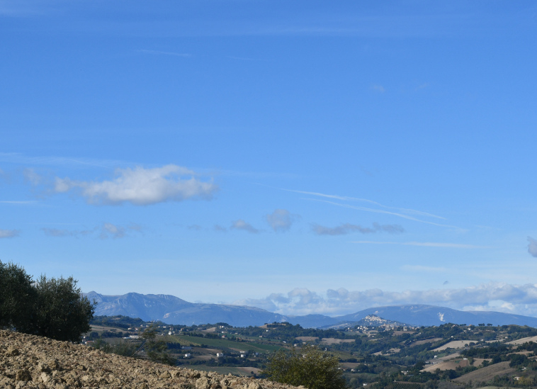 Agriturismo with sea view in Le Marche