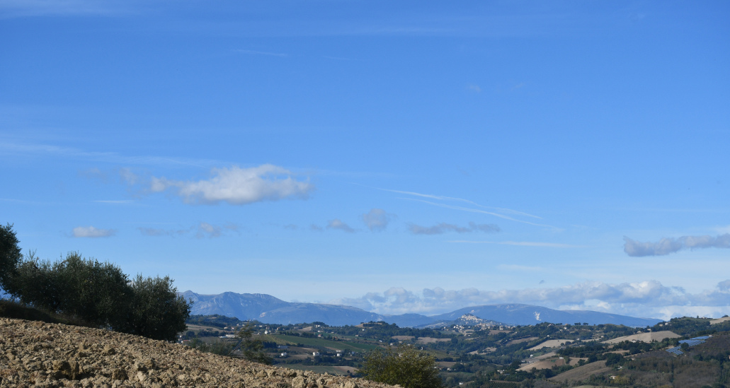 Agriturismo with sea view in Le Marche