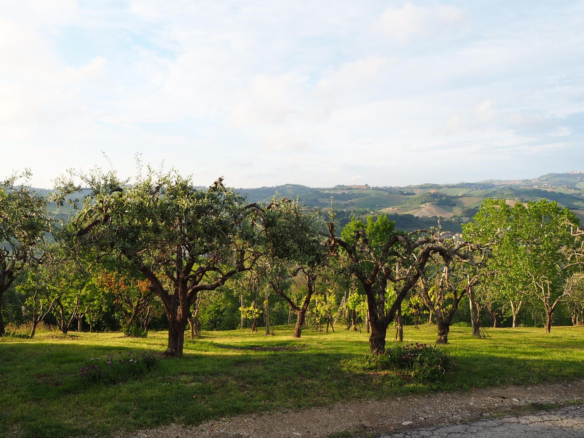 Agriturismo with sea view