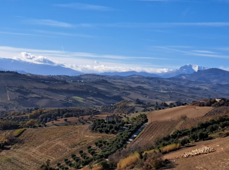 Villa with sea view in Ripatransone