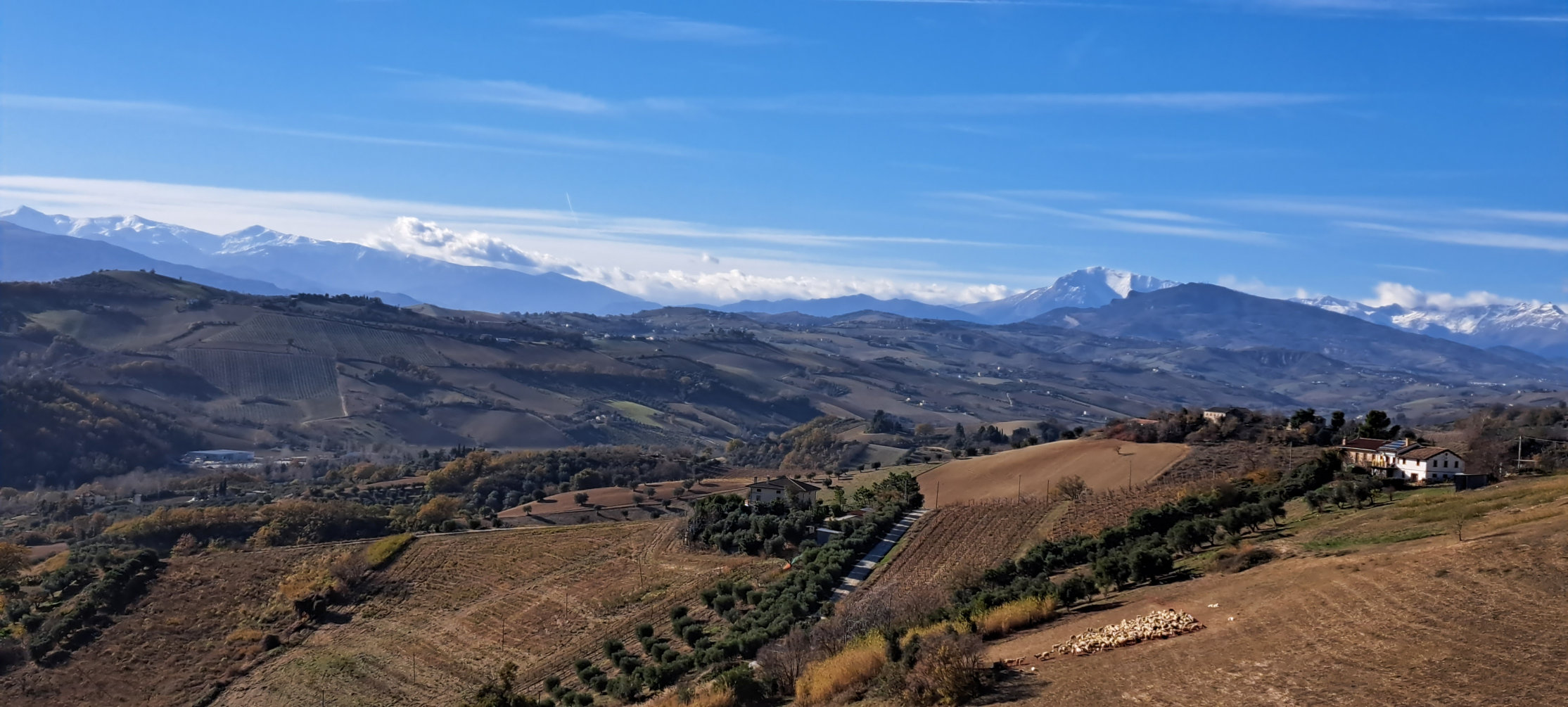 Villa with sea view in Ripatransone