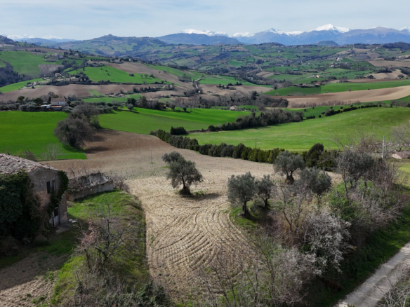 Farmhouse with Mountains view in Le Marche