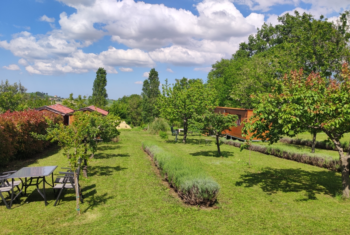 1170