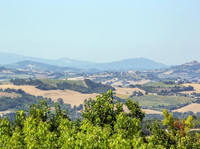 Country house with sea view in Le Marche