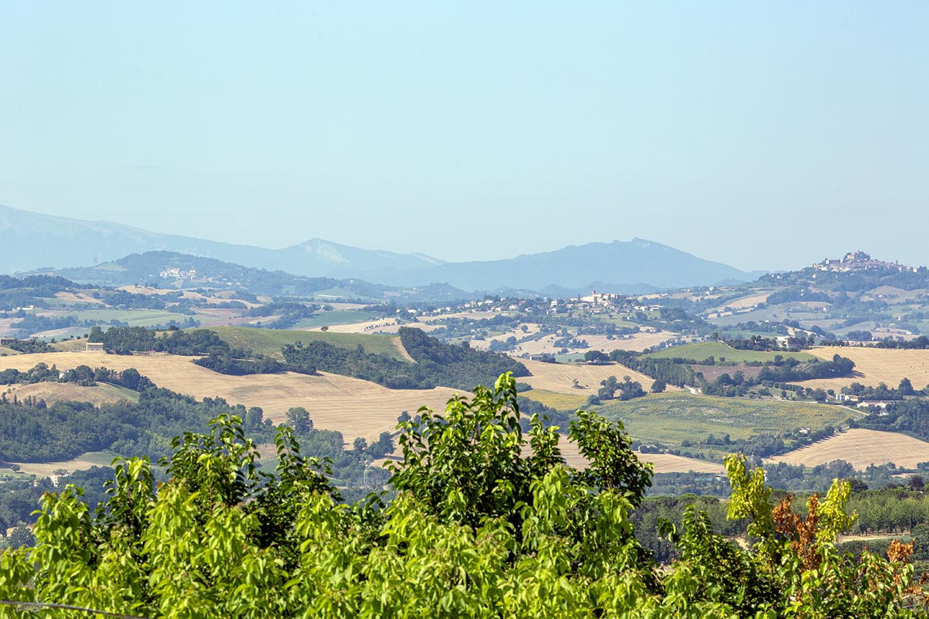 Country house with sea view in Le Marche