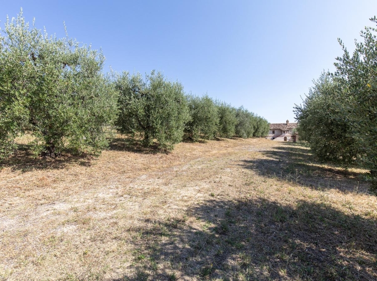 Country house with sea view in Le Marche