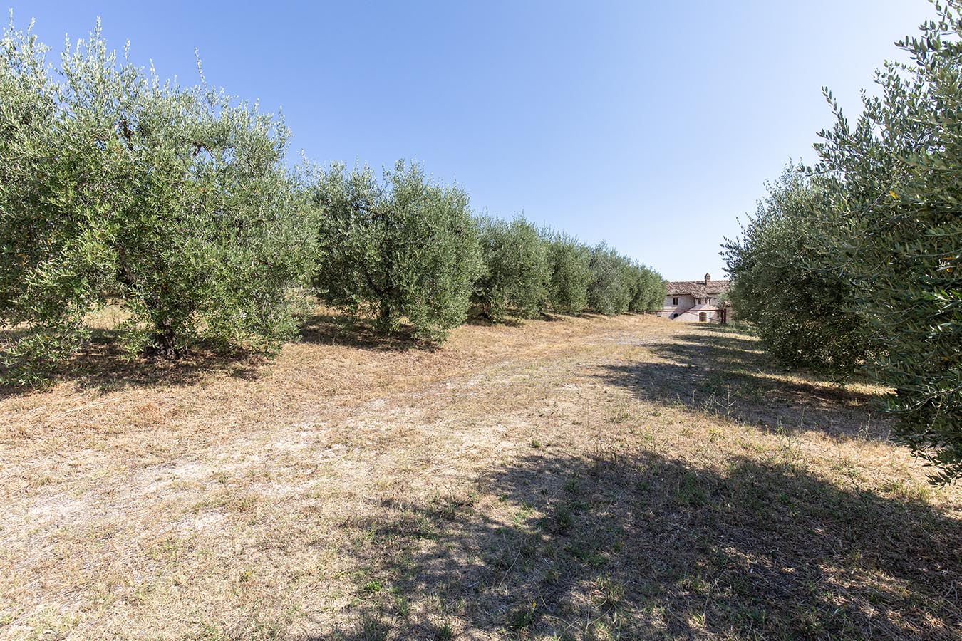 Country house with sea view in Le Marche