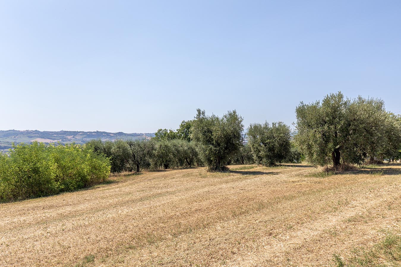 Country house with sea view in Le Marche