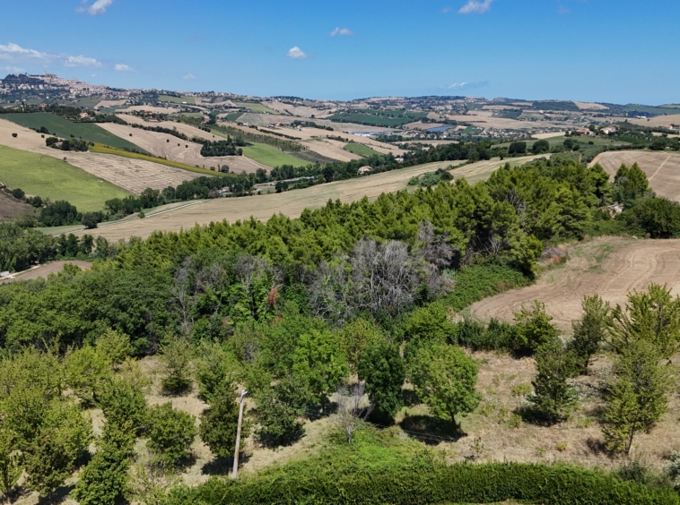 Country house with Pool in Le Marche