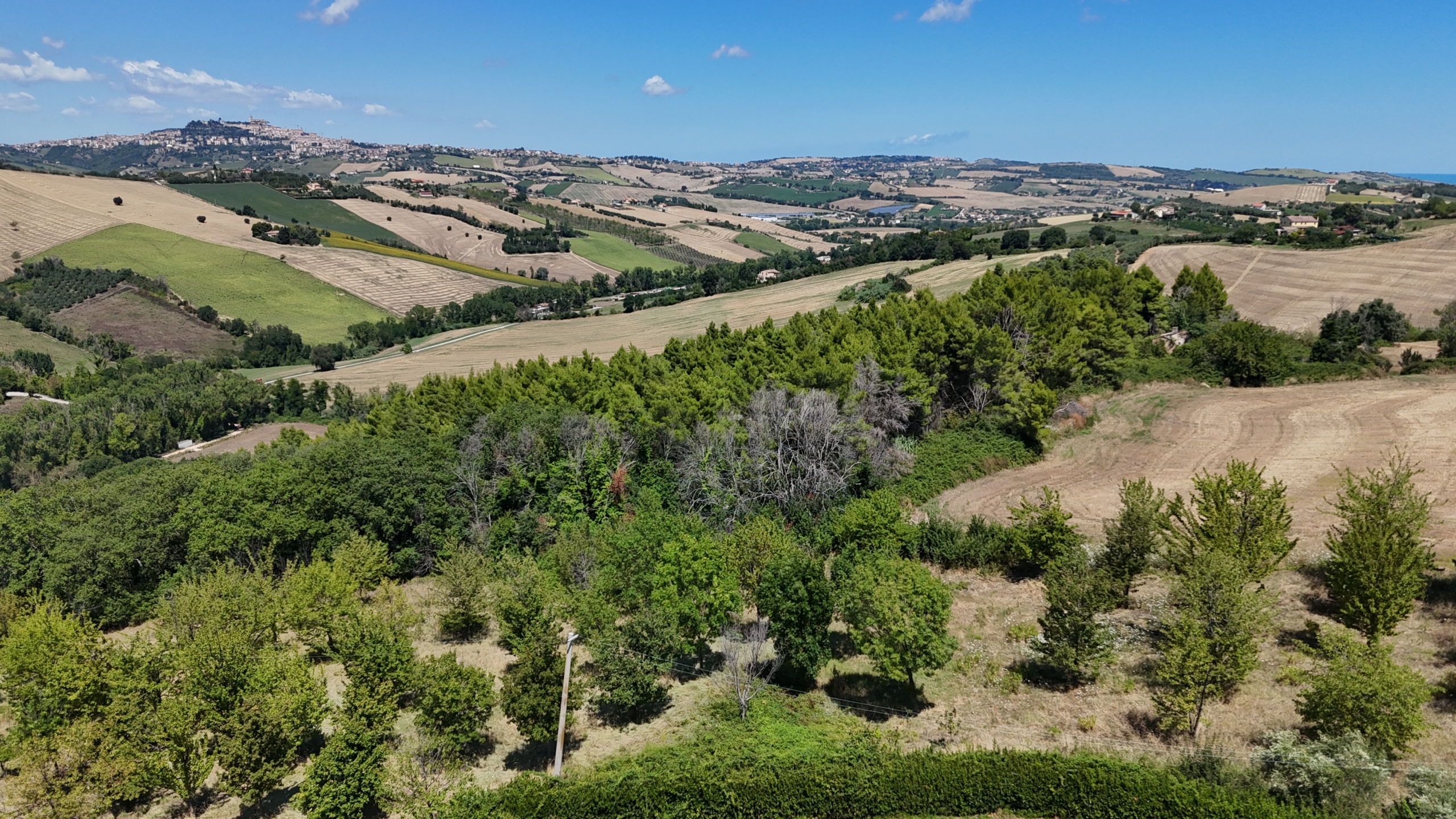 Country house with Pool in Le Marche