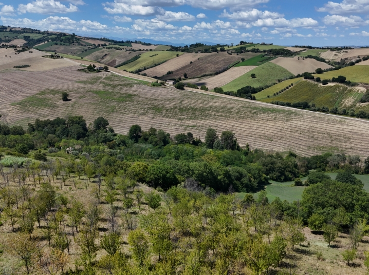 Country house with Pool in Le Marche