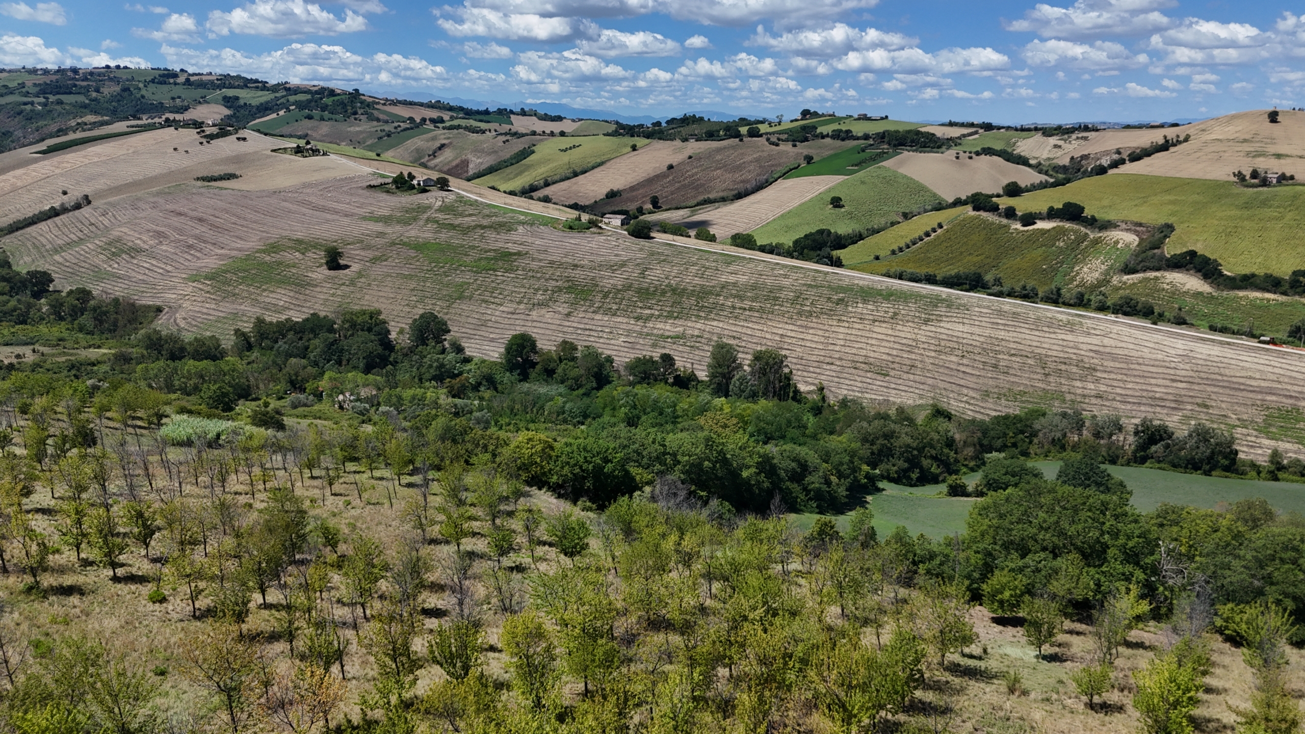 Country house with Pool in Le Marche
